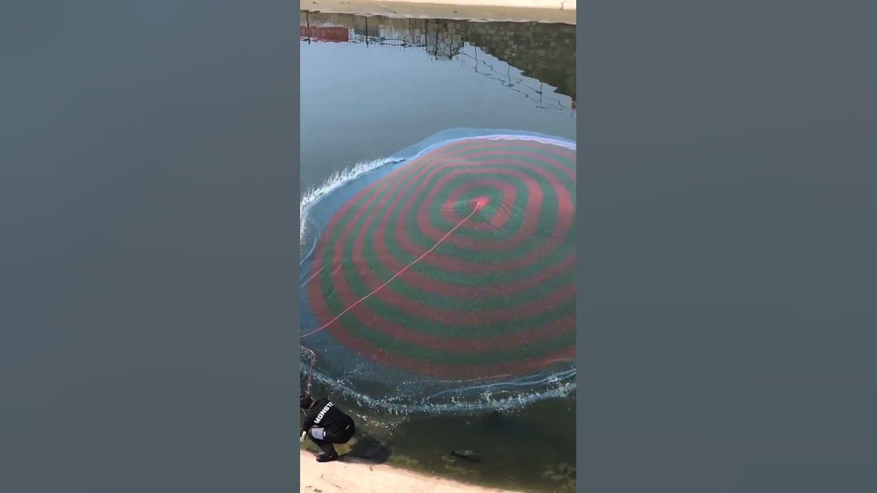How to throw a Cast net; Easiest To way it Perfectly Every time# shorts 1 How to throw a Cast net; Easiest To way it Perfectly Every time# shorts 1
