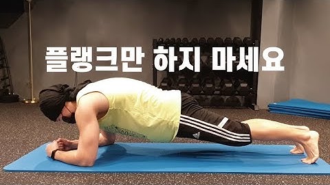코어 운동이란 무엇인가 (플랭크, 데드벅, 버드독, ...)