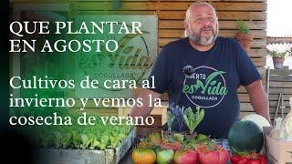 QUE PLANTAR en AGOSTO. Preparando los cultivos de invierno.