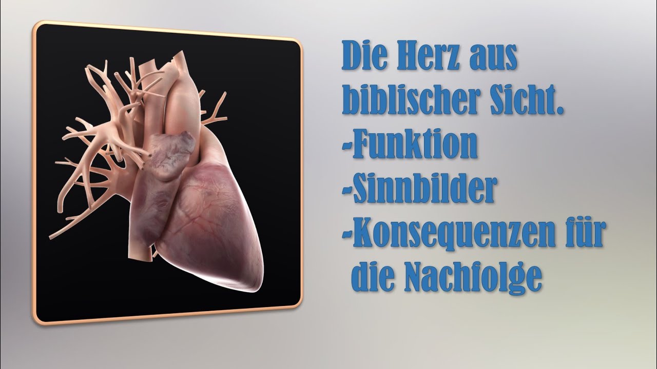 Das Herz aus biblischer Sicht YouTube