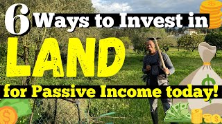 Buy Land NOW  6 Ways to Generate Passive Income from a Small Piece of Land