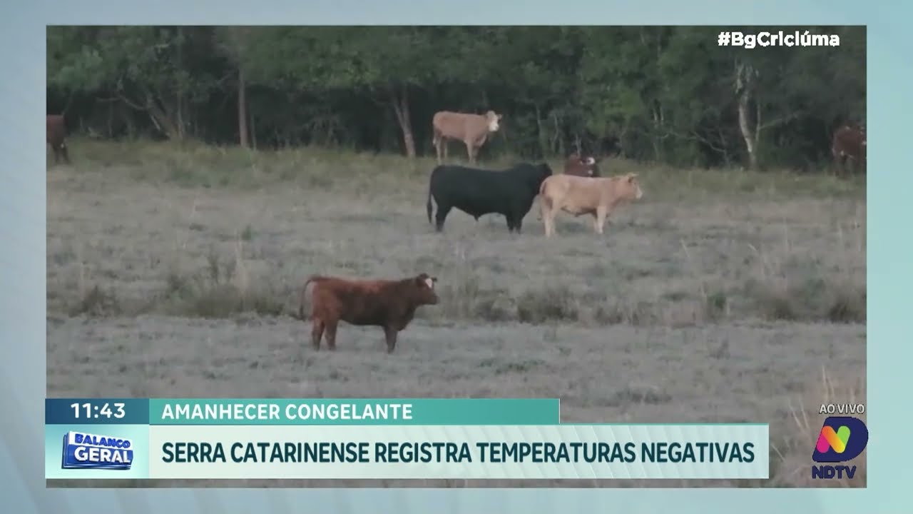 Frio intenso traz geada para a serra catarinense hoje