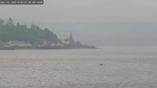 Holy Loch And Wildlife  Dunoon Scotland