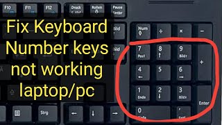 Fix Keyboard number keys not working