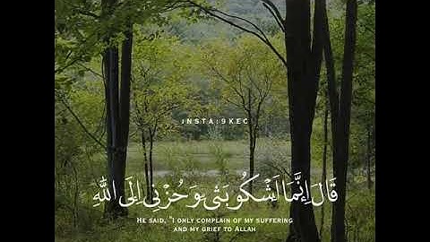 القرآن الكريم | آية قصيرة تريح القلب💖#13