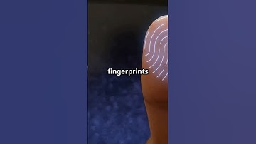 Science Behind Fingerprints: Why Are They Unique?