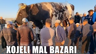 30-АПРЕЛЬ 2023/ХОЖЕЛИ МАЛ БАЗАРЫ/СКОТНЫЙ РЫНОК/BUQALAR/BIG BULLS IN THE WORLD/BIG COW/РЕКОРД БЫК