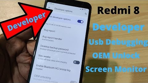 Redmi 8 Developer Option find out Hindi Urdu