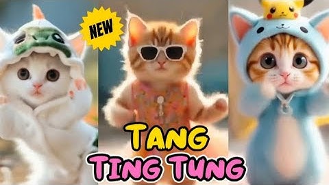 TANG TING TUNG KUCING LUCU JOGET