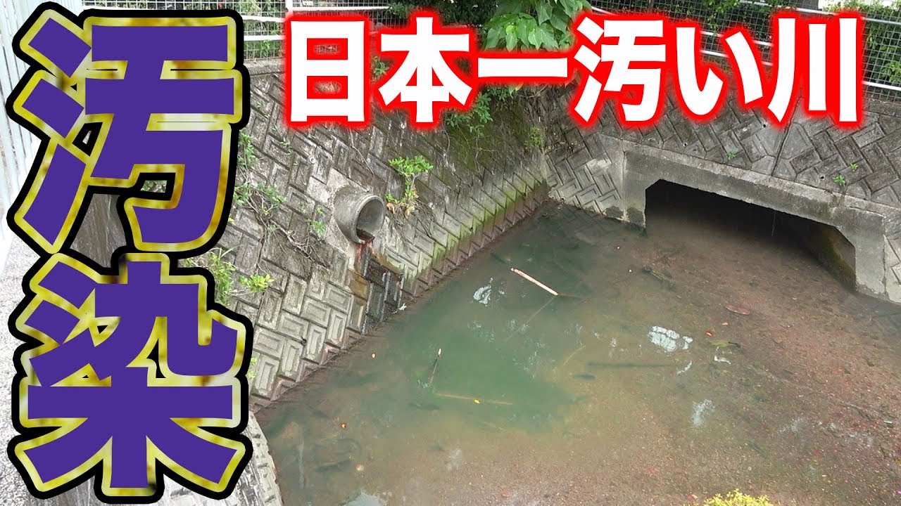 生活排水汚染された川で釣り出来るの Youtube