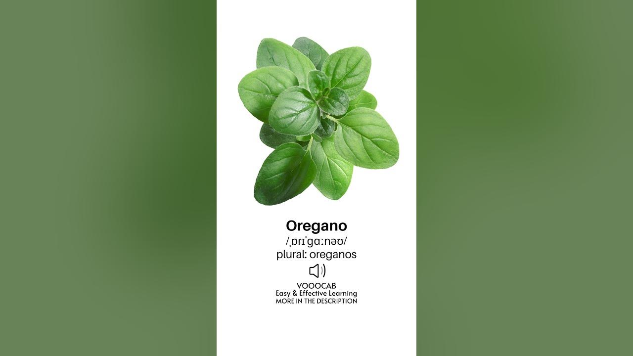 Oregano Pronunciation, English Transcription, Plural Form