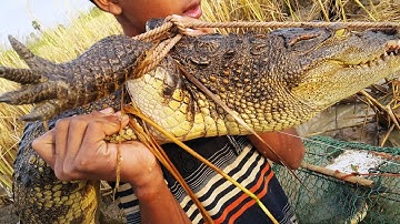 Primitive Technology: Simple DIY Crocodile Trap Using Real hand That Work 100%