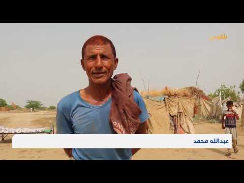معاناة أطفال تهامة في ظل الحرارة الشديدة وغياب الخدمات