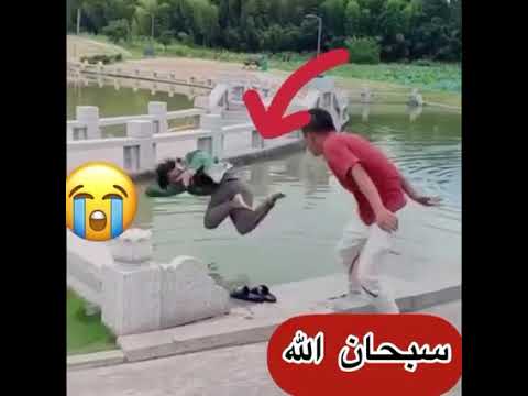 نجات انسان توسط سگ