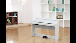 Цифровое пианино KORG LP-380 U
