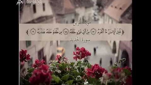 ماتيسر من سورة عبس بصوت مؤيد المزين