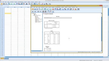 SPSS - Conjoint Analysis