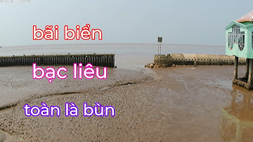 Bãi biển Bạc Liêu toàn là bùn non