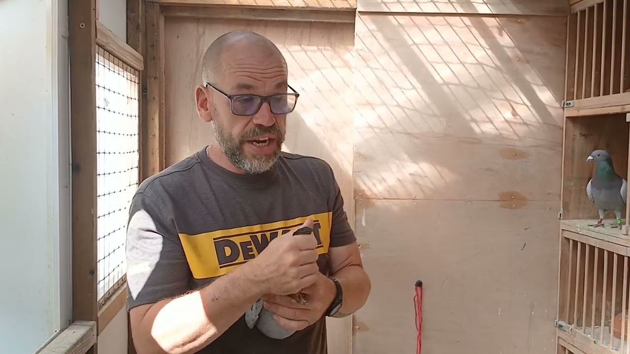 Race results from okehampton Q&A from misses Heyl flights