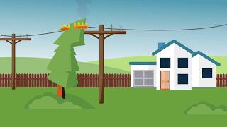 The Causes of Outages: Trees