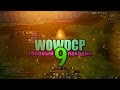 WOWDCP 9 ТОП ПАЛАДИН