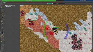Tibia - Issavi Bashmu DUO RP MONK 450+