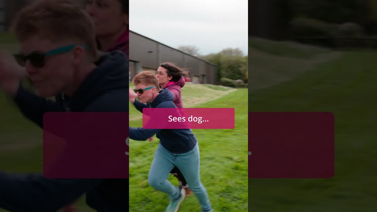 Why Dog-Dog Interactions Go Wrong: The Dog That Has To Say Hi #dogsocialisation #dogtraining