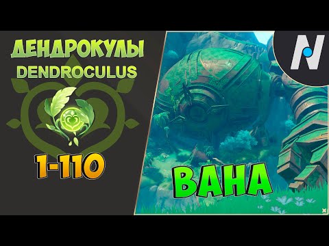 Видео: ВСЕ ДЕНДРОКУЛЫ - Часть 1. ЛУЧШИЙ МАРШРУТ СБОРА | GENSHIN IMPACT