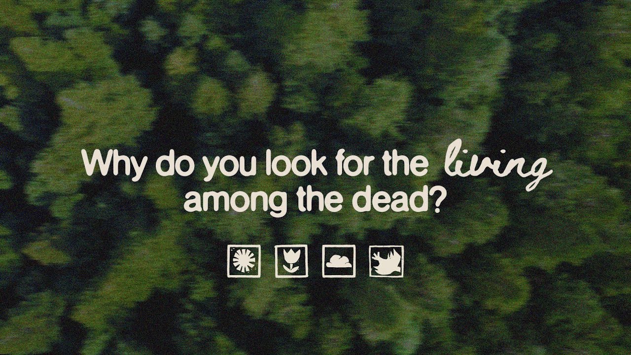 Why do you Look for the Living Among the Dead Pt. 2 | Michael Willard, NextGen Pastor | Local Church