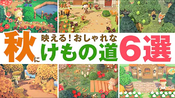 あつもりマイデザイン獣道