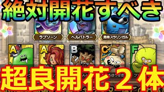 【ドラクエタクト】開花前線第二弾この２体だけは開花したほうが良い！