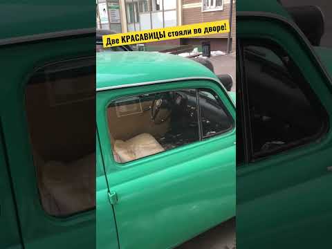 АртЛавка | Две КРАСАВИЦЫ стояли в Питерском дворе на радость и удивление всем прохожим!