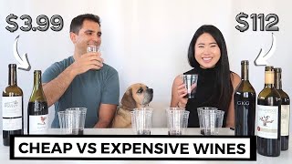 Amateurs Taste The Difference Between $4 and $112 Wines \/\/ Cheap VS Expensive Blind Taste Test