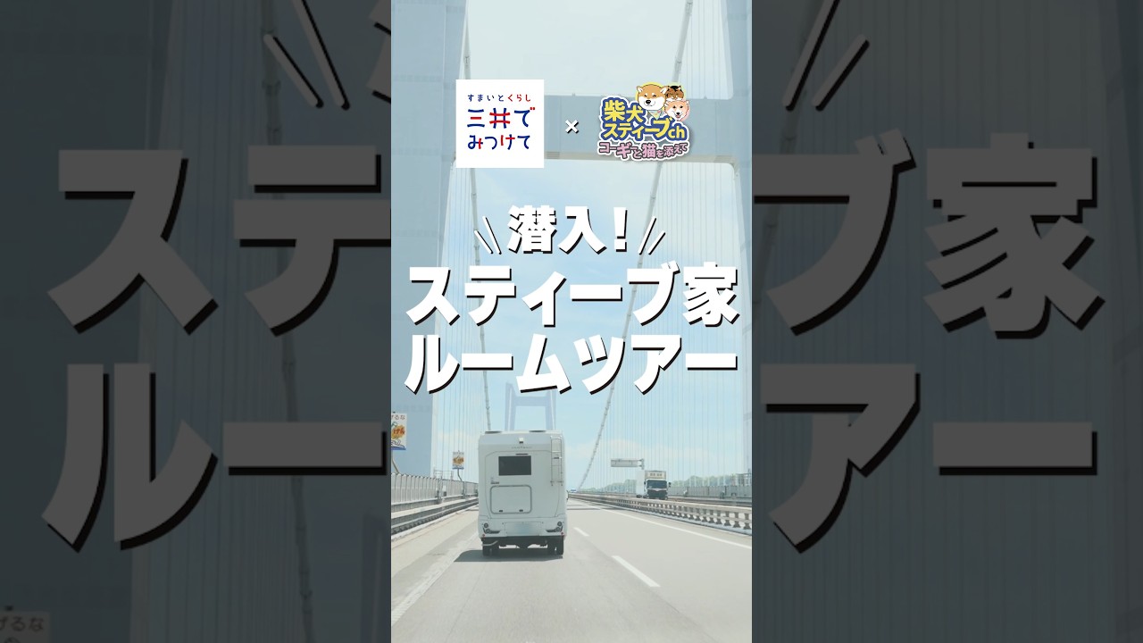 【予告】スティーブ家ルームツアー #三井でみつけて #柴犬スティーブ #三井不動産グループ
