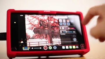 Atomos Ninja Assassin | SnapShot