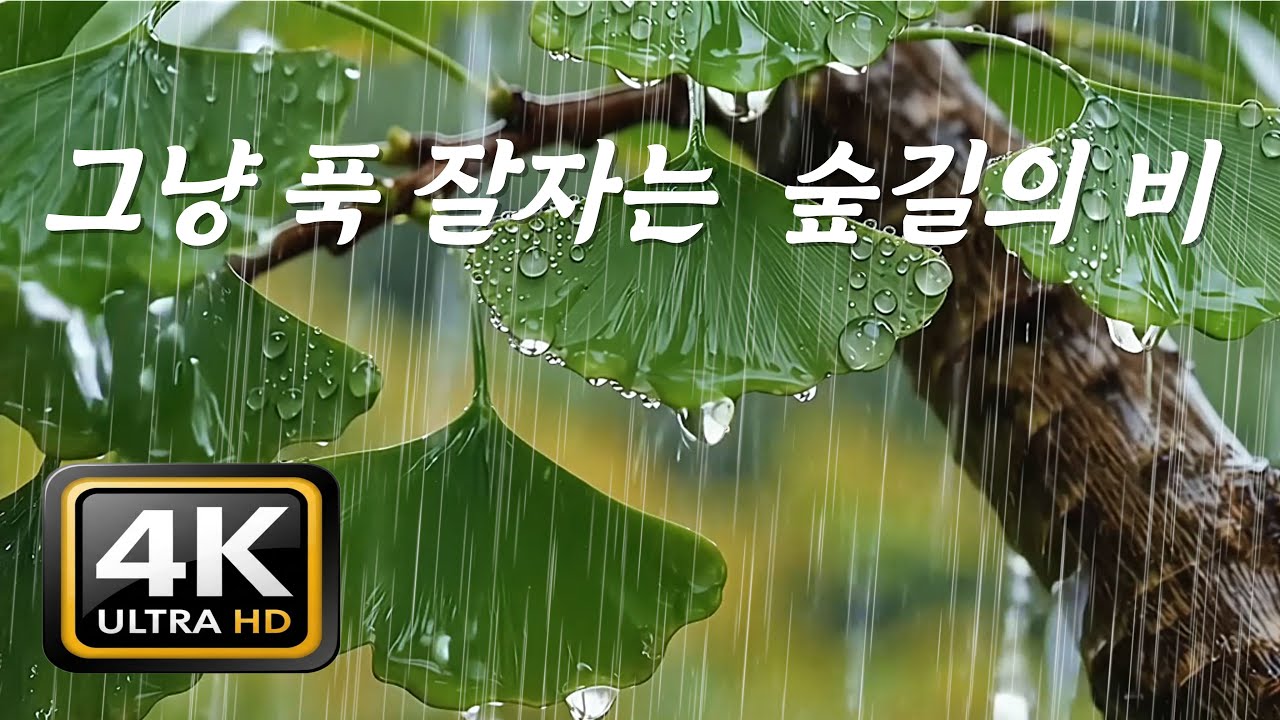 그냥 푹 잘 자는 숲길의 빗소리, [중간광고없음]10분후 검은화면, 생각이 멈추고 깊어지는 편안한 수면, ASMR