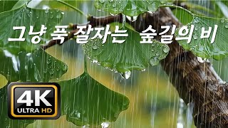 그냥 푹 잘 자는 숲길의 빗소리, [중간광고없음]10분후 검은화면, 생각이 멈추고 깊어지는 편안한 수면, ASMR screenshot 5