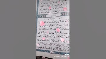 ما تيسر من سوره القلم