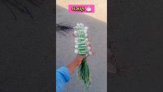 લસણ ? trending shorts shortvideo viral