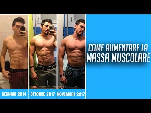ultimo allenamento grasso muscolare
