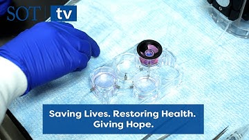 Saving Lives. Restoring Health. Giving Hope – LifeNet Health Life Sciences