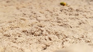 DXH801   User Experience Prototyping Video