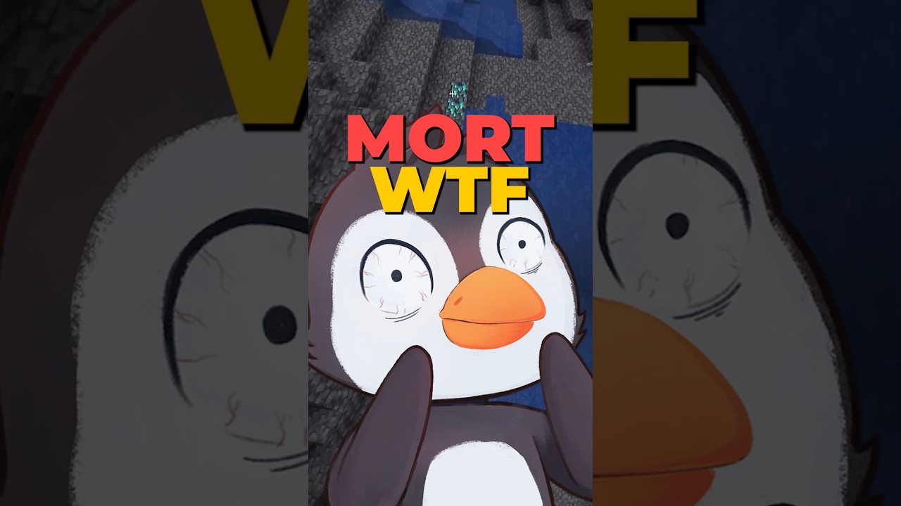 MORT WTF