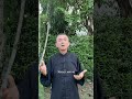 Жёлчный пузырь работает слабо? Мягкий запуск.  #qigong #holistichealth #дыхание #цигун #саморазвитие
