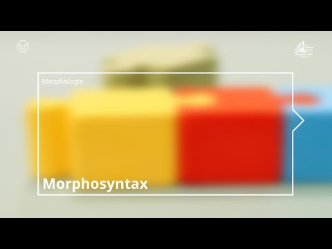 Morphologie: Morphosyntax (TU Dresden)