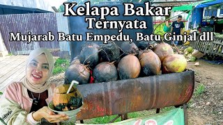 Kelapa Bakar Ternyata Mujarab Batu Empedu Juga Batu Ginjal Kuncinya Konsisten