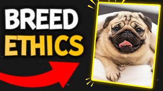 The Ethics Surrounding Brachycephalic Breeds | The Veterinary Roundtable - EP74