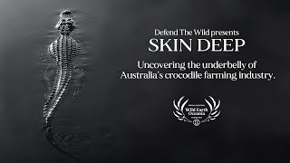 Skin Deep - An inside look at Australia's Crocodile Farming