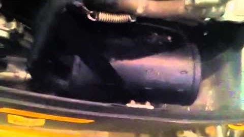 2000 mach z 800 dynoport can