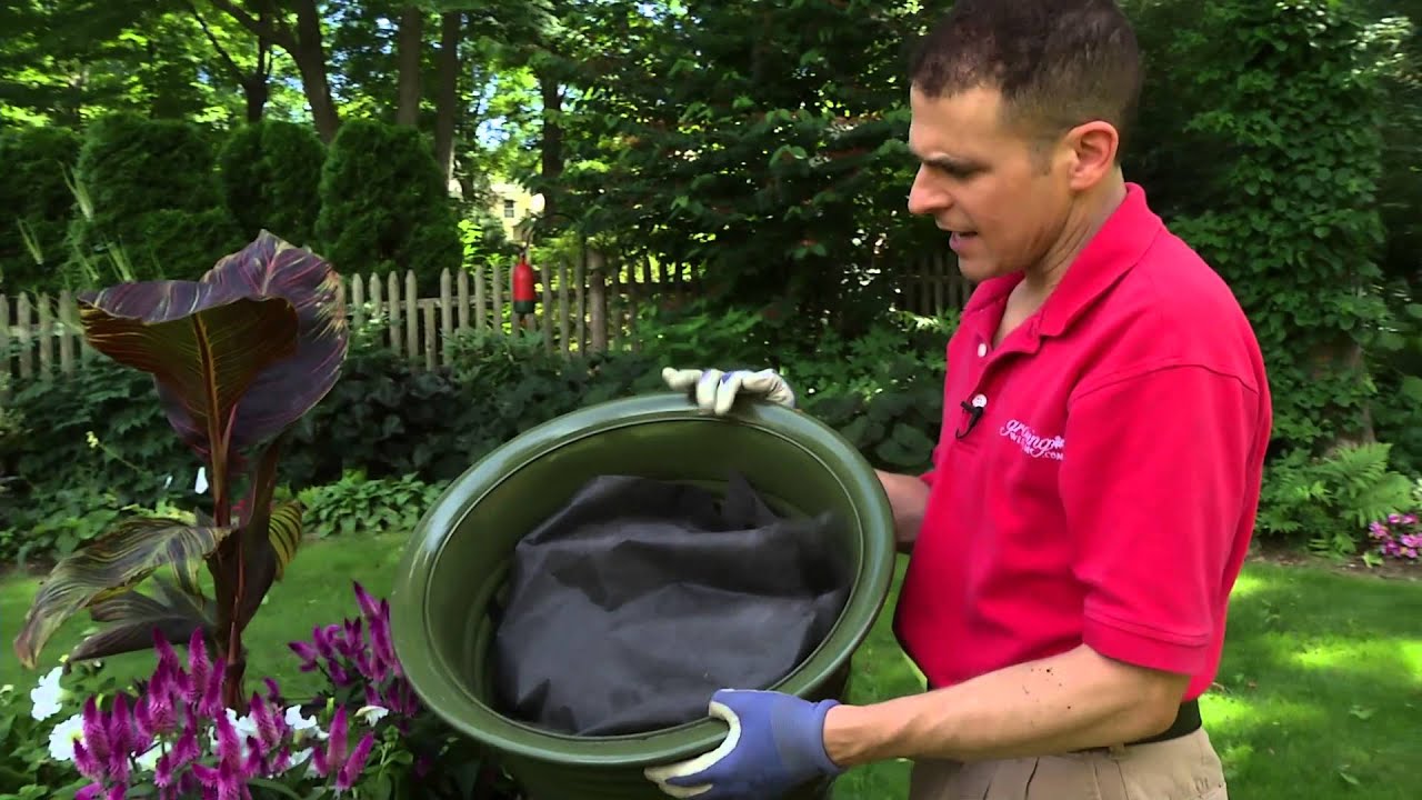 Easy Tips For Growing Plants In Containers You Easy Tips For Growing Plants In Containers